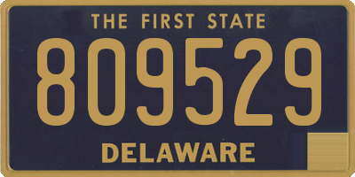 DE license plate 809529