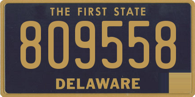 DE license plate 809558