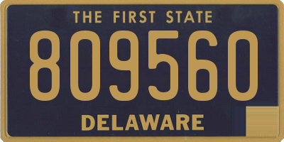 DE license plate 809560