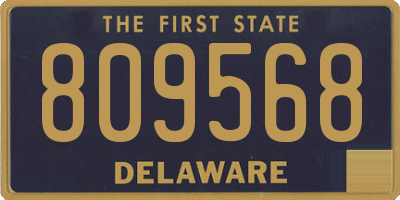 DE license plate 809568