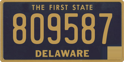 DE license plate 809587