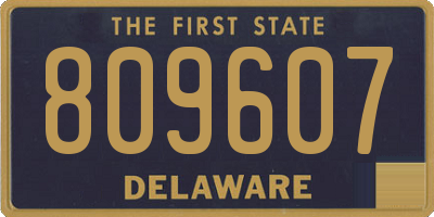 DE license plate 809607