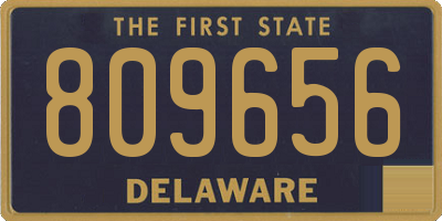 DE license plate 809656