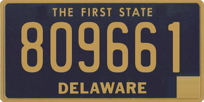 DE license plate 809661