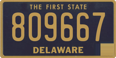 DE license plate 809667