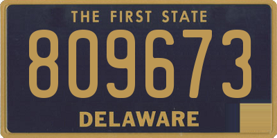 DE license plate 809673