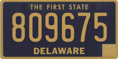 DE license plate 809675
