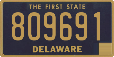 DE license plate 809691
