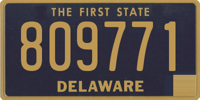 DE license plate 809771