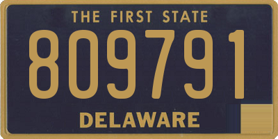 DE license plate 809791