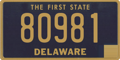 DE license plate 80981