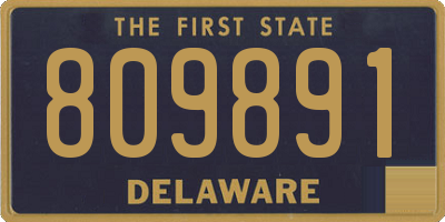 DE license plate 809891