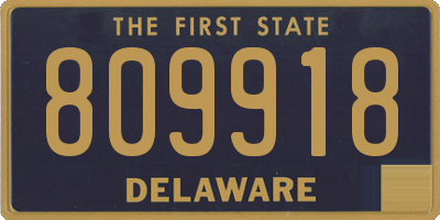 DE license plate 809918