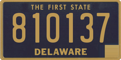 DE license plate 810137