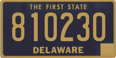 DE license plate 810230