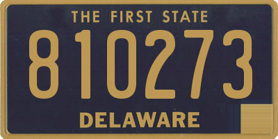 DE license plate 810273