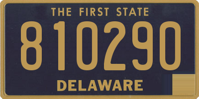 DE license plate 810290