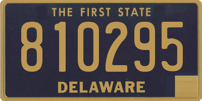 DE license plate 810295