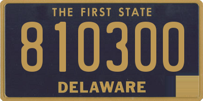 DE license plate 810300