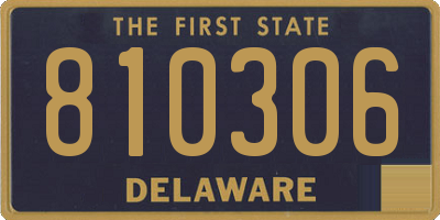 DE license plate 810306