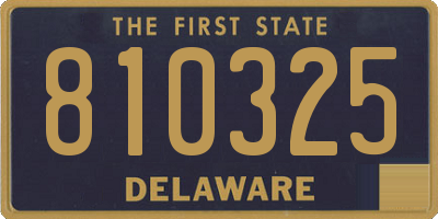 DE license plate 810325