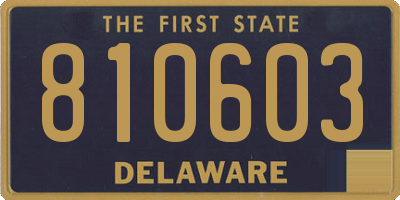 DE license plate 810603