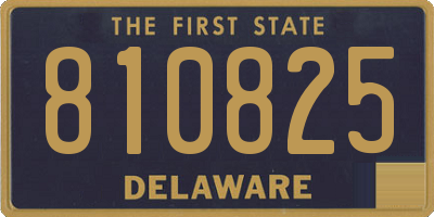 DE license plate 810825