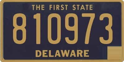 DE license plate 810973