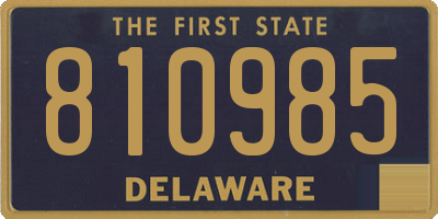DE license plate 810985