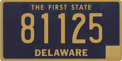 DE license plate 81125