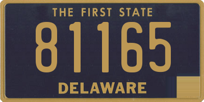 DE license plate 81165