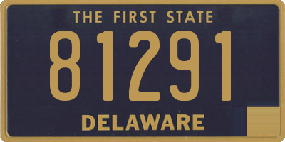 DE license plate 81291