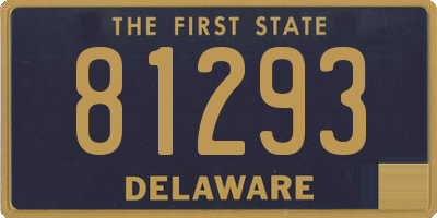 DE license plate 81293