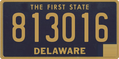 DE license plate 813016