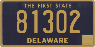 DE license plate 81302