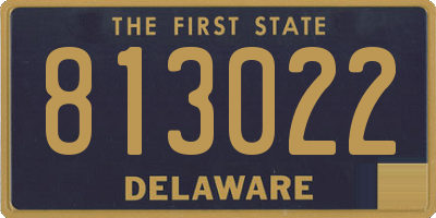 DE license plate 813022
