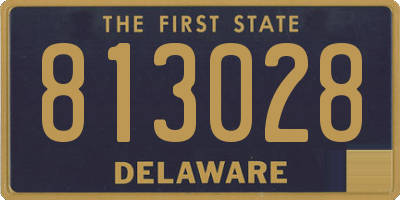 DE license plate 813028