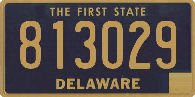 DE license plate 813029