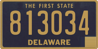 DE license plate 813034