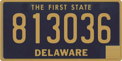 DE license plate 813036