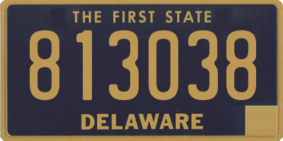 DE license plate 813038