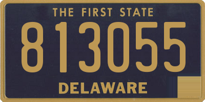 DE license plate 813055