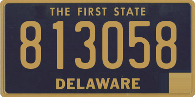 DE license plate 813058