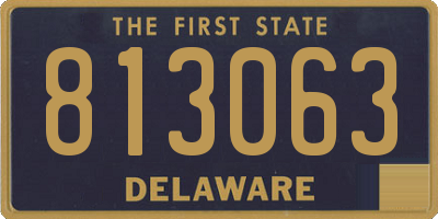 DE license plate 813063