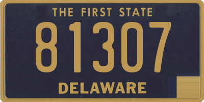 DE license plate 81307