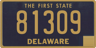 DE license plate 81309