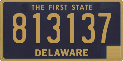 DE license plate 813137