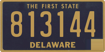 DE license plate 813144