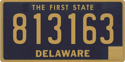 DE license plate 813163