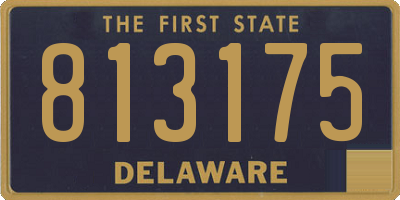 DE license plate 813175
